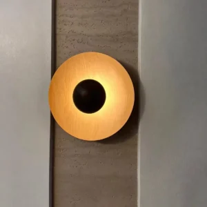 Modern LED Decorative Wall Sconce WA1004 3