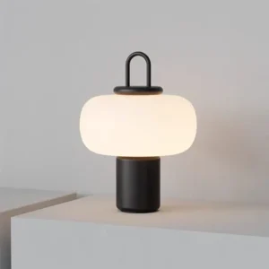 Modern Opal Glass Table Lamp with Handle TL-A072 2