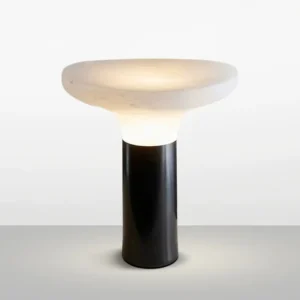 Modern Resin Mushroom Table Lamp TL-E023 3