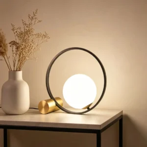 Modern Ring Frame Glass Globe Table Lamp TL-A058 3