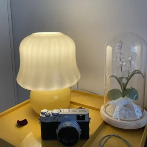 Modern Frosted Glass Table Lamp with Orange Base TL-A084 2