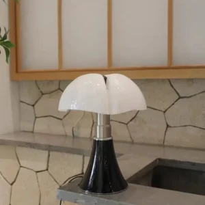 Modern Petal Glass Table Lamp TL-A089 2