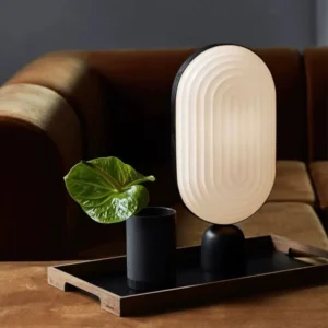 Minimalist Oval Resin Table Lamp TL-E006 3
