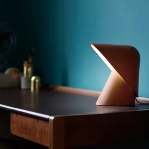 Designer Abstract Resin Table Lamp TL-E024 2