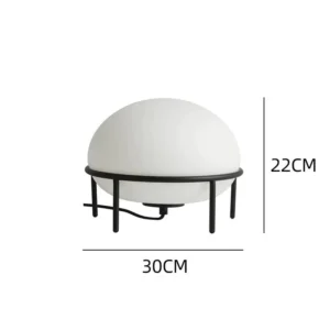 Modern Glass Dome Table Lamp with Metal Frame TL-A093 1