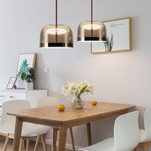 Modern Glass Dome Pendant Light P6030 6