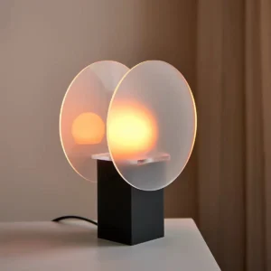 Modern Frosted Acrylic Disc Table Lamp TL-G009 1