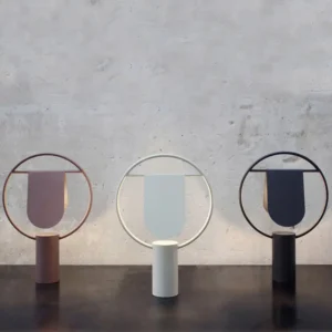 Minimalist Circular Metal Frame Table Lamp TL-B057 3