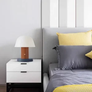 Modern Color Block Mushroom Metal Shade Table Lamp TL-B059 4