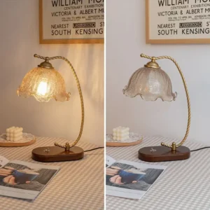 Vintage Twisted Curved Metal Arm with Wood Base Table Lamp TL-N028 2