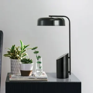 Modern Dome Shade Table Lamp with Marble Base TL-D020 2
