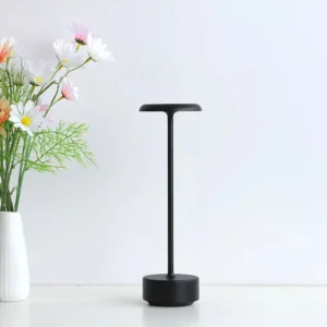 Modern Small Portable Touch Rechargeable Table Lamp T45-002 5