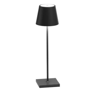Minimalist Cordless Rechargeable LED Table Lamp T45-007 1