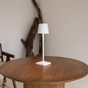 Minimalist Cordless Rechargeable LED Table Lamp T45-007 3