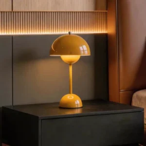 Nordic Rechargeable Touch Control Mushroom Table Lamp T45-008 7