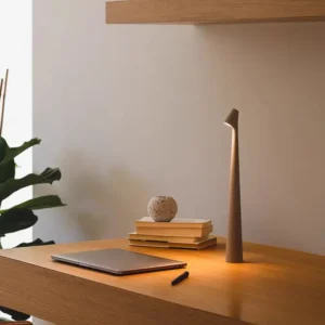 Nordic Slim Cone Cordless Rechargeable LED Table Lamp T45-018 4
