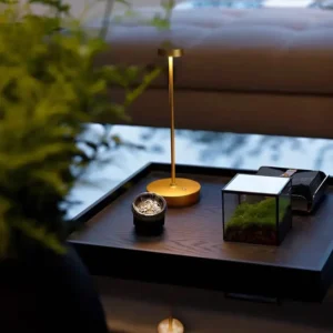 Modern Gold Aluminum Portable LED Table Lamp for Restaurant T45-055 1