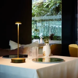 Modern Gold Aluminum Portable LED Table Lamp for Restaurant T45-055 4