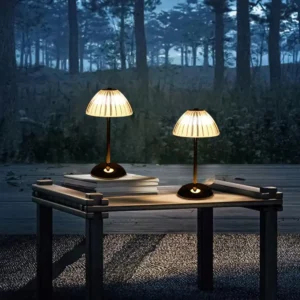 Elegant Transparent Ribbed ABS Mushroom Rechargeable LED Table Lamp T45-039 3