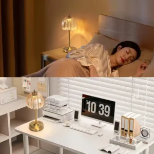 Retro Petal Glass with Brass Finish Base Rechagreable Table Lamp T45-060 1