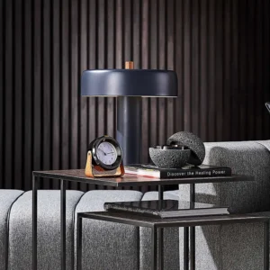 Minimalist Flat Disc Metal Table Lamp TL-B034 2