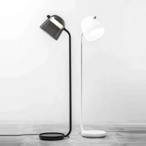 Modern Dome Glass Floor Lamp with Curved Black Metal FL-A004 1