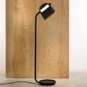 Modern Dome Glass Floor Lamp with Curved Black Metal FL-A004 2