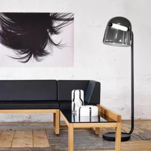 Modern Dome Glass Floor Lamp with Curved Black Metal FL-A004 4