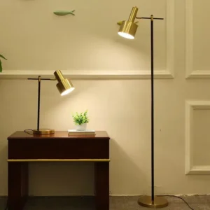 Modern Black & Brass Cantilever Floor Lamp with Rotatable Brass Tube Shade FL-A020 1