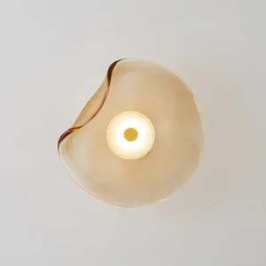 Minimalist Irregular Curved Glass Wall Sconce WA1083 6