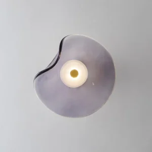 Minimalist Irregular Curved Glass Wall Sconce WA1083 8
