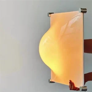 Modern Irregular Curved Acrylic Wall Sconce WA1100 2