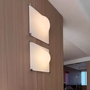 Modern Irregular Curved Acrylic Wall Sconce WA1100 7
