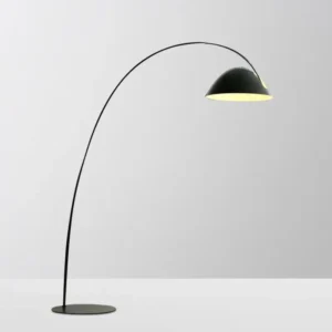 Modern Black Metal Arched Fishing Floor Lamp with Dome Shade FL-A068 1