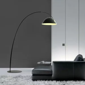 Modern Black Metal Arched Fishing Floor Lamp with Dome Shade FL-A068 2