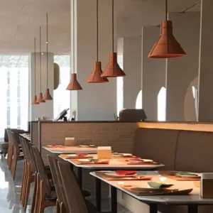 Organic Modern Concrete Hanging Pendant Light PC002 1