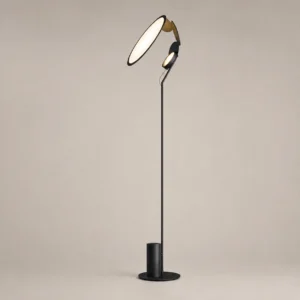 Modern Two-Lamp Head Black Metal LED Floor Lamp FL-A030