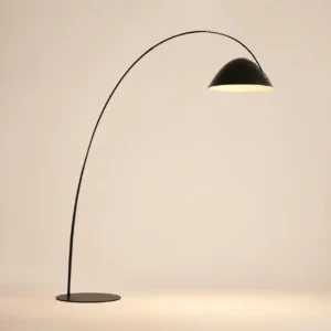 Modern Black Metal Arched Fishing Floor Lamp with Dome Shade FL-A068