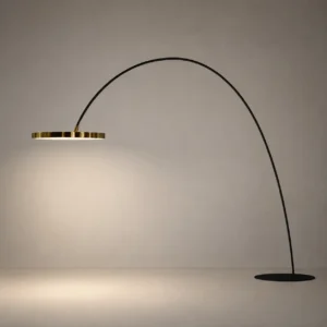 Modern Curved Cantilever Floor Lamp Long Strip Gold & Black Light Fixture FL-A077